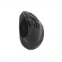 Natec | Vertical Mouse | Euphonie | Wireless | Bluetooth/USB Nano Receiver | Black - 2